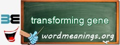 WordMeaning blackboard for transforming gene